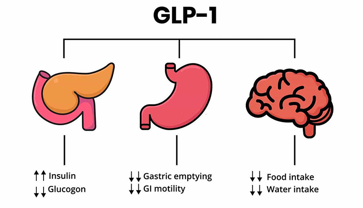 Exploring the Spectrum of GLP-1 Agonists