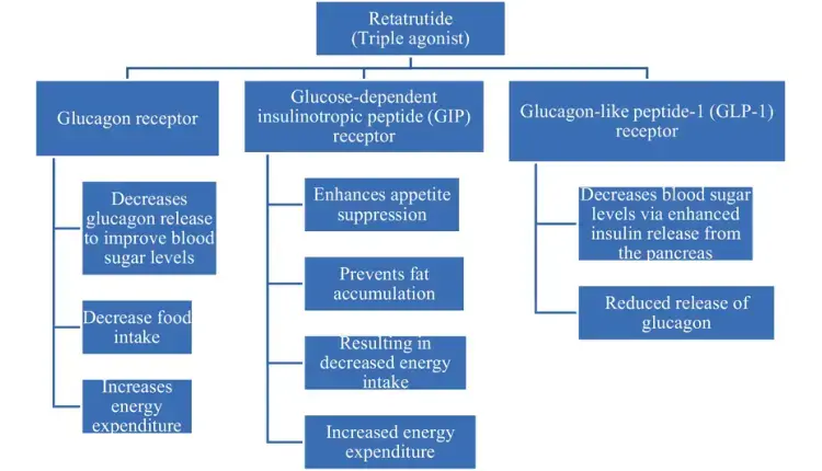 Mechanism of Action