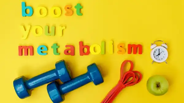 Understanding Metabolism and Its Importance