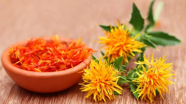 Safflower Extract for Nausea