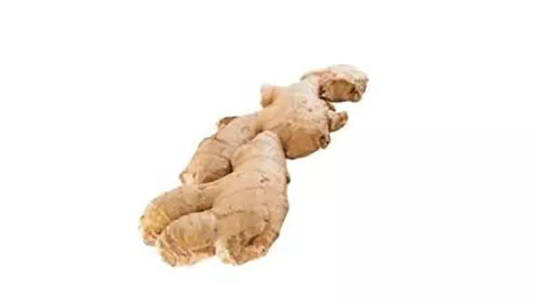 ginger root extract