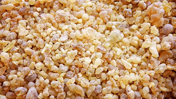 Frankincense for Gastrointestinal Health